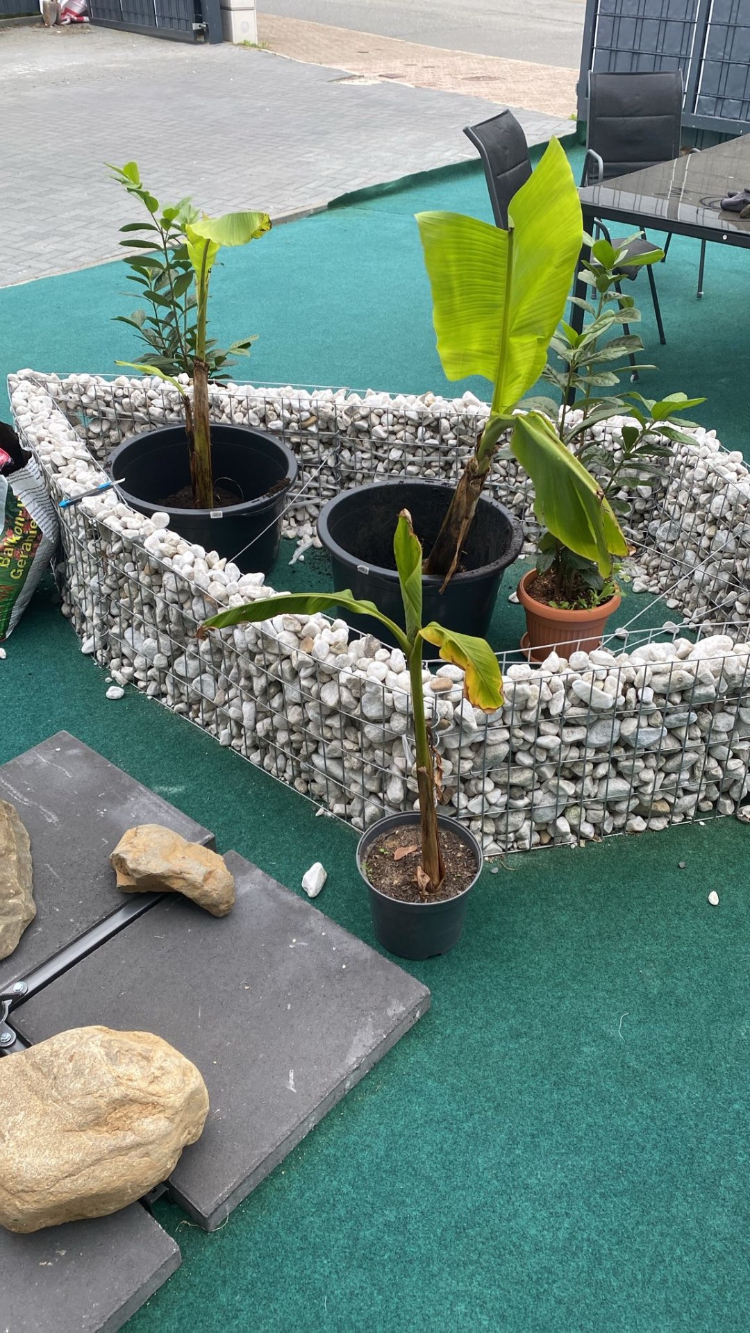 Gartenarbeiten in Salzgitter – Außenanlage mit Bepflanzung und Steinkörben